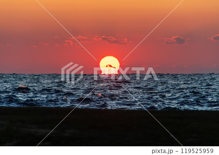 水平線に沈む夕日 水平線に沈む夕日 119525959