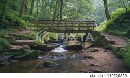 Tranquil forest scene showcasing a wooden bridge crossing a flowing stream amid lush greenery 119526856