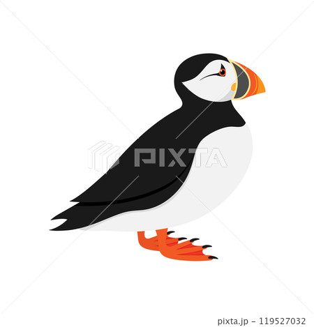 Atlantic puffin bird in profile view isolated on white background. Vector illustration 119527032