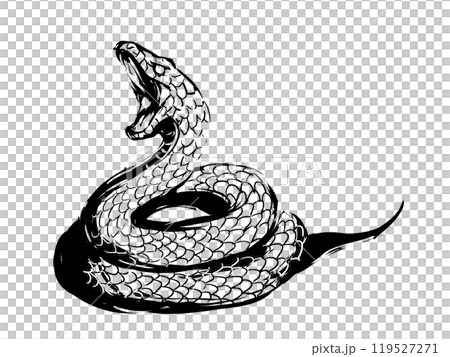 一條蛇 一條蛇 119527271