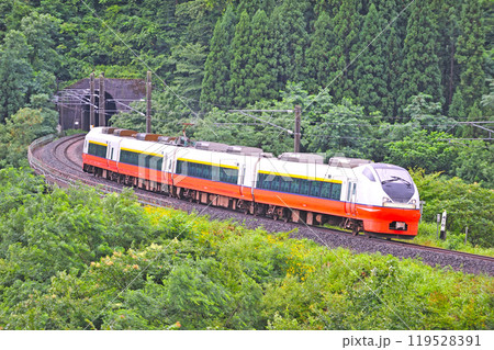 奥羽本線　白沢ー陣場　JR東日本　E751系　N101編成（青森）　つがる 119528391