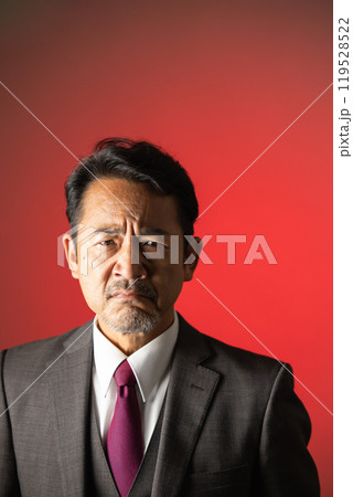 50代の男性 カメラ目線 ポートレート 50代の男性 カメラ目線 ポートレート 119528522