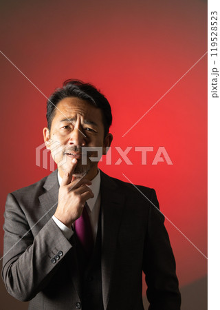 50代の男性 カメラ目線 ポートレート 50代の男性 カメラ目線 ポートレート 119528523