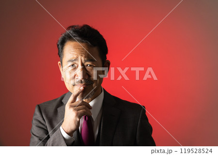 50代の男性　カメラ目線　ポートレート 119528524