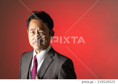 50代の男性 カメラ目線 ポートレート 50代の男性 カメラ目線 ポートレート 119528525
