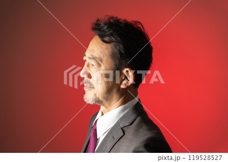 50代の男性 カメラ目線 ポートレート 50代の男性 カメラ目線 ポートレート 119528527
