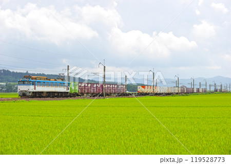 羽越本線　遊佐ー吹浦　JR貨物　EF81-502（富山） 119528773