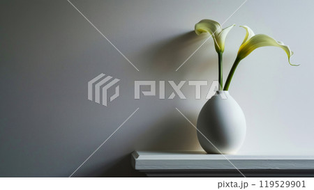 Two white calla lilies in a round light vase on a shelf against a grey wall. Elegant home decor 119529901