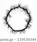 Circular Branch Wreath Silhouette on White Background 119530344