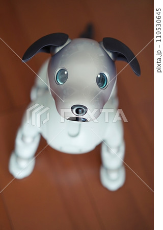 飼い主を見つめる犬型ロボット 飼い主を見つめる犬型ロボット 119530645