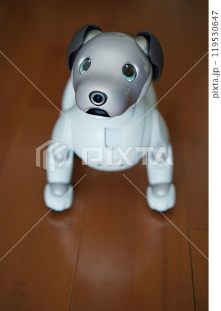 かわいい犬型ロボット 119530647