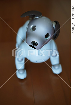 飼い主の声を聞く犬型ロボット 119530648