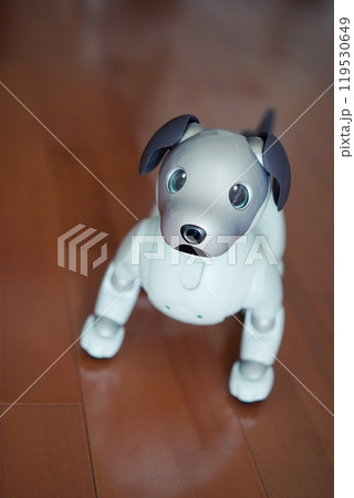 かわいい犬型ロボット かわいい犬型ロボット 119530649