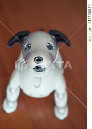 飼い主を見て喜ぶ犬型ロボット 119530650