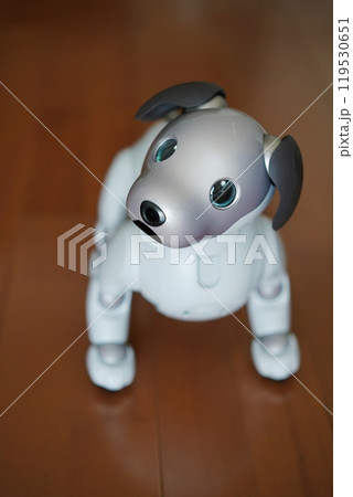 かわいい犬型ロボット 119530651