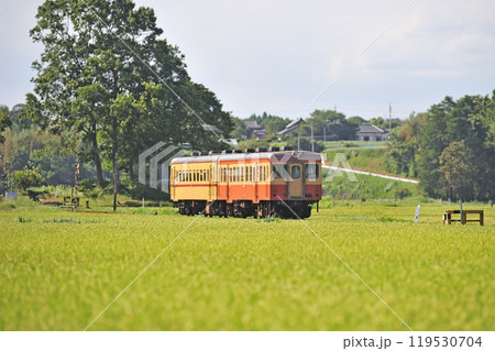 ひたちなか海浜鉄道 中根ー那珂湊 キハ205 ひたちなか海浜鉄道 中根ー那珂湊 キハ205 119530704