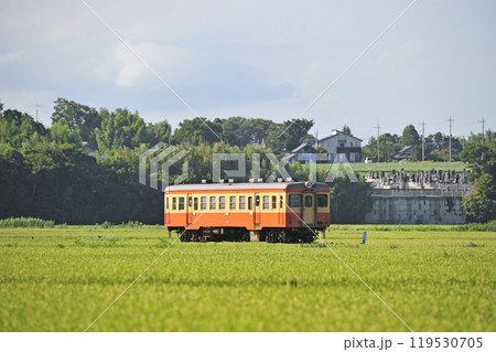 ひたちなか海浜鉄道　中根ー那珂湊　キハ205 119530705
