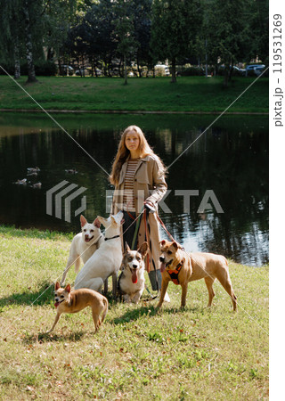 oung female dog sitter walks with dogs in park by lake. concept of friendship, pet, recreation. 119531269