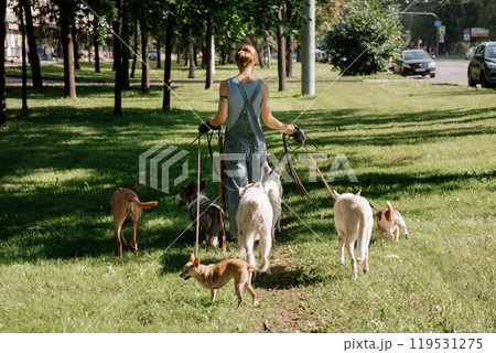 young woman dog sitter walks with dogs on lawn in park. concept of friendship, pet, recreation.  119531275