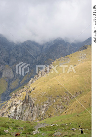 Mountain landscape. summer day in wild mountains with coniferous forest and rocky slopes. 119531296
