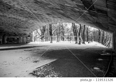 The snowy landscape on Strelecky Island offers a serene winter day. Under the arch, trees stand bare as a peaceful atmosphere envelops the park, inviting quiet reflection and nature appreciation. The snowy landscape on Strelecky Island offers a serene winter day. Under the arch, trees stand bare as a peaceful atmosphere envelops the park, inviting quiet reflection and nature appreciation. 119531326