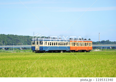 ひたちなか海浜鉄道 那珂湊ー中根 キハ222 ひたちなか海浜鉄道 那珂湊ー中根 キハ222 119531340