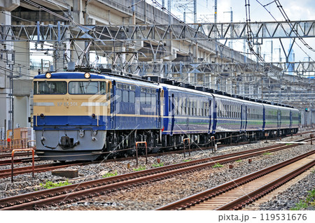 東北本線　尾久－赤羽　JR東日本　EF65-501＋12系（高崎）　ELみなかみ 119531676