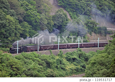 上越線 上牧ー水上 JR東日本 D51-498+旧客(高崎) SLみなかみ 上越線 上牧ー水上 JR東日本 D51-498+旧客(高崎) SLみなかみ 119531717