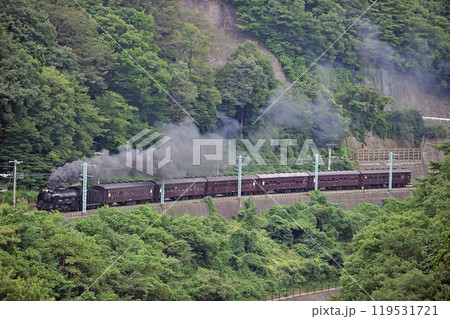上越線 上牧ー水上 JR東日本 D51-498+旧客(高崎) SLみなかみ 上越線 上牧ー水上 JR東日本 D51-498+旧客(高崎) SLみなかみ 119531721