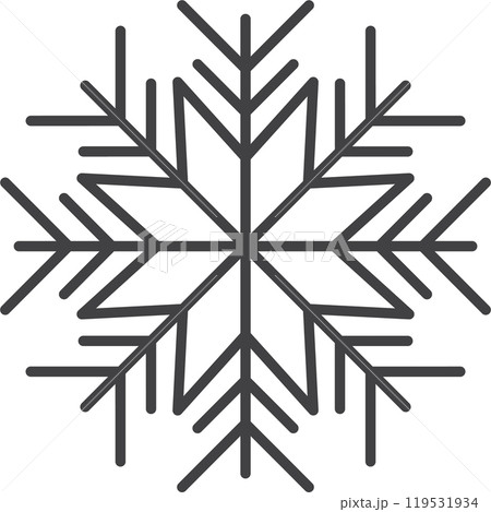 Snowflake icon. Winter snowflake silhouette for Christmas design 119531934