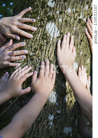 A diverse group of people is touching a tree with their hands gently A diverse group of people is touching a tree with their hands gently 119532187