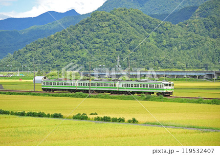 上越線 五日町ー六日町 JR東日本 115系 N4編成(新潟) 上越線 五日町ー六日町 JR東日本 115系 N4編成(新潟) 119532407