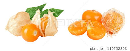 Cape gooseberry or physalis isolated on white background wit full depth of field 119532898