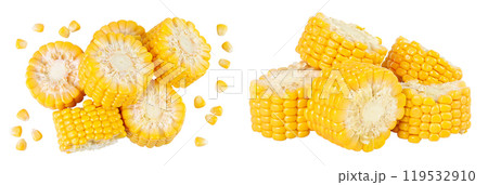 ear of corn isolated on a white background with full depth of field. Top view. Flat lay ear of corn isolated on a white background with full depth of field. Top view. Flat lay 119532910