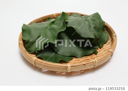 白背景の笊にのせたおかわかめ 119533258