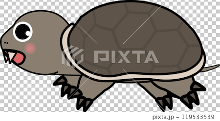 Snapping turtle - cute turtle illustration 119533539