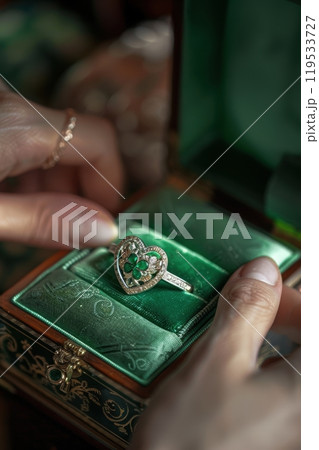 Traditional Irish Claddagh Ring in Jewelry Box with Shamrock Accents for Love and Friendship 119533727
