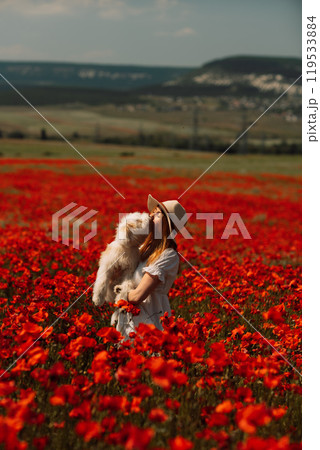 Field of poppies woman dog. Happy woman in a white dress and hat stand with her back through a blooming field of poppy with a white dog. Field of blooming poppies. 119533884