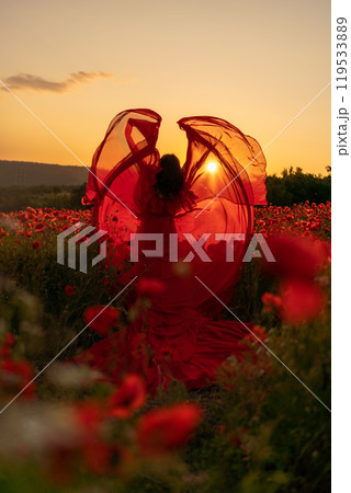 Woman poppy field red dress sunset. Happy woman in a long red dress in a beautiful large poppy field. Blond stands with her back posing on a large field of red poppies 119533889
