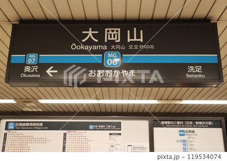 大岡山駅（目黒線）駅名標 119534074