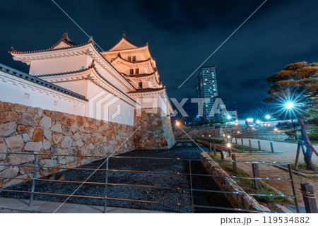 ライトアップする尼崎城 119534882