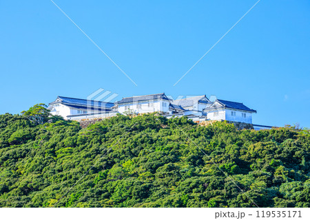 秋の富岡城跡　熊本県天草郡 119535171