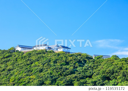 秋の富岡城跡　熊本県天草郡 119535172