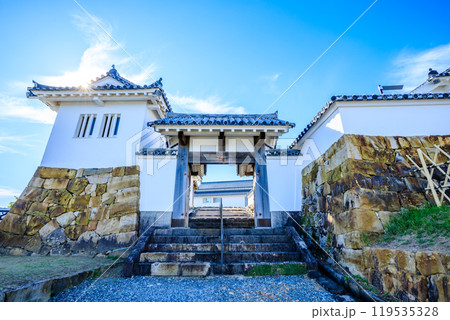 秋の富岡城跡　熊本県天草郡 119535328