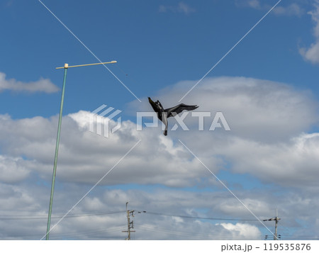 田圃に設置された鳥除け 119535876