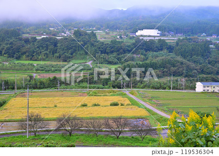 利根川沿い田舎風景 下牧PAからの眺め 群馬県みなかみ町 利根川沿い田舎風景 下牧PAからの眺め 群馬県みなかみ町 119536304