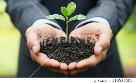 Businessman Encourages Eco Forest Regeneration With Young Seedling In Fertile Soil. Eco Corporate Policy Promotes Environmental Awareness And Sustainability. Reducing Carbon Footprint. 119536500