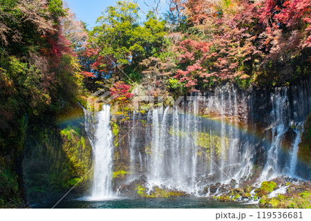 白糸の滝（秋）　[富士宮市] 119536681
