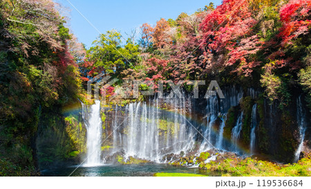 白糸の滝（秋）　[富士宮市] 119536684