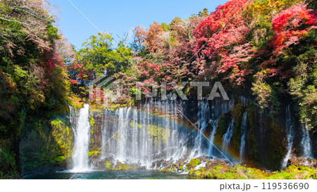 白糸の滝（秋）　[富士宮市] 119536690